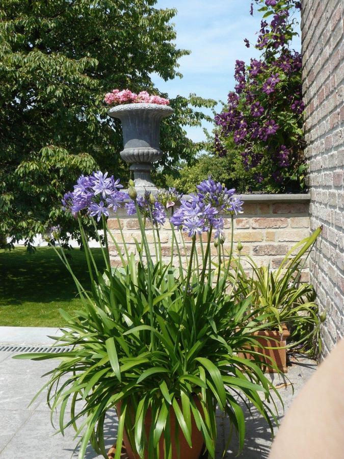 B&B Casabelle Boekhoute Ngoại thất bức ảnh